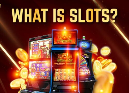 Contrast in between Bingo and Slots: Which One is Better to Play?